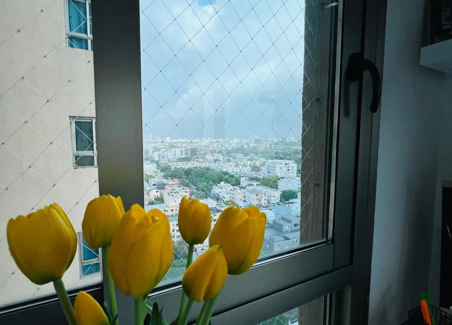 Spectacular Condominium Between The City And The Sea Santo Domingo Apartamento